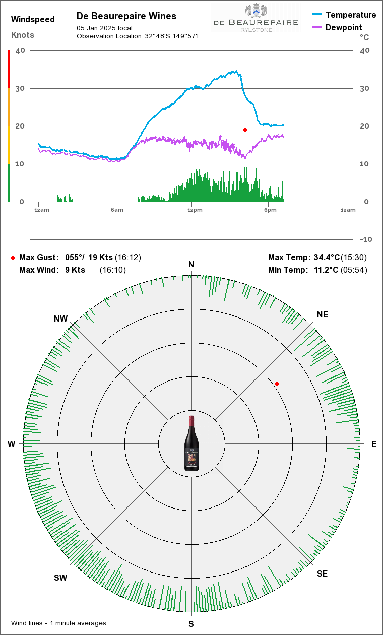 Wind & Temperature